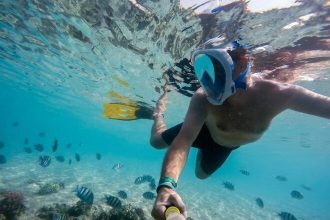 machine-learning-designs-the-perfect-snorkel-day-in-cabo