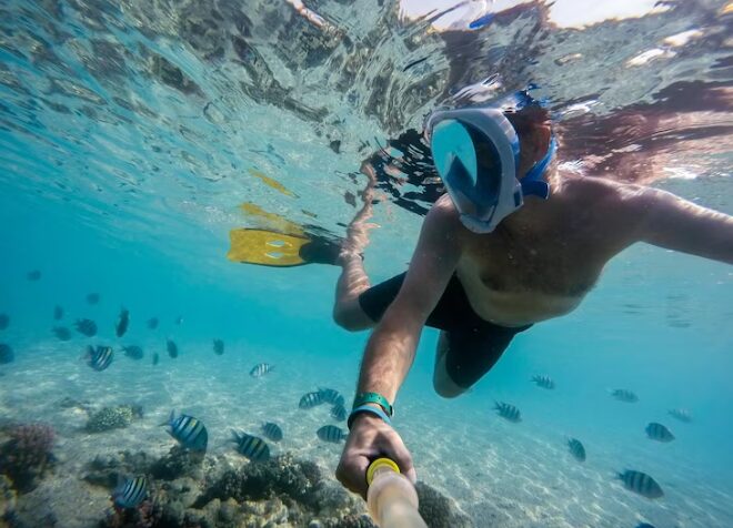 machine-learning-designs-the-perfect-snorkel-day-in-cabo